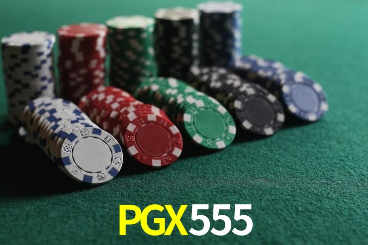 Game Statistics PGX555
