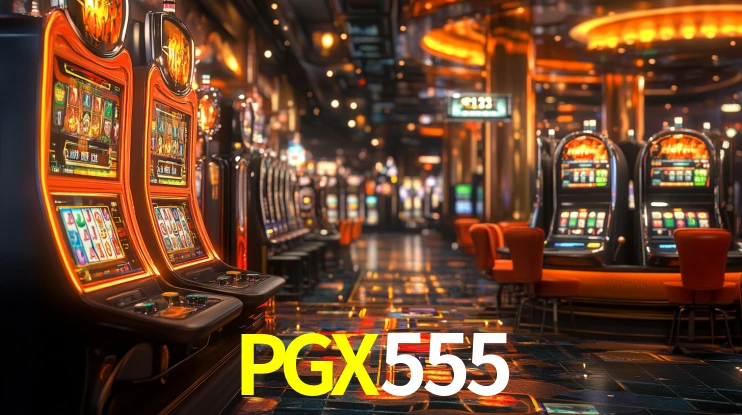 Premium Interface PGX555